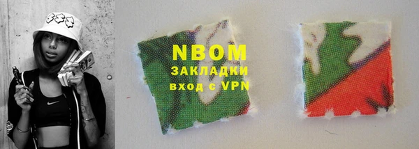 хмурый Алзамай
