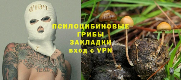 хмурый Алзамай