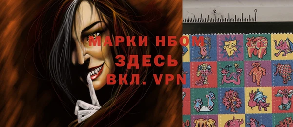 хмурый Алзамай