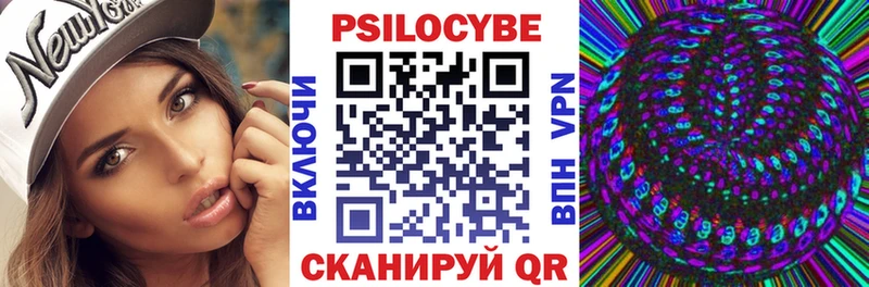 Галлюциногенные грибы Psilocybe  Краснообск 